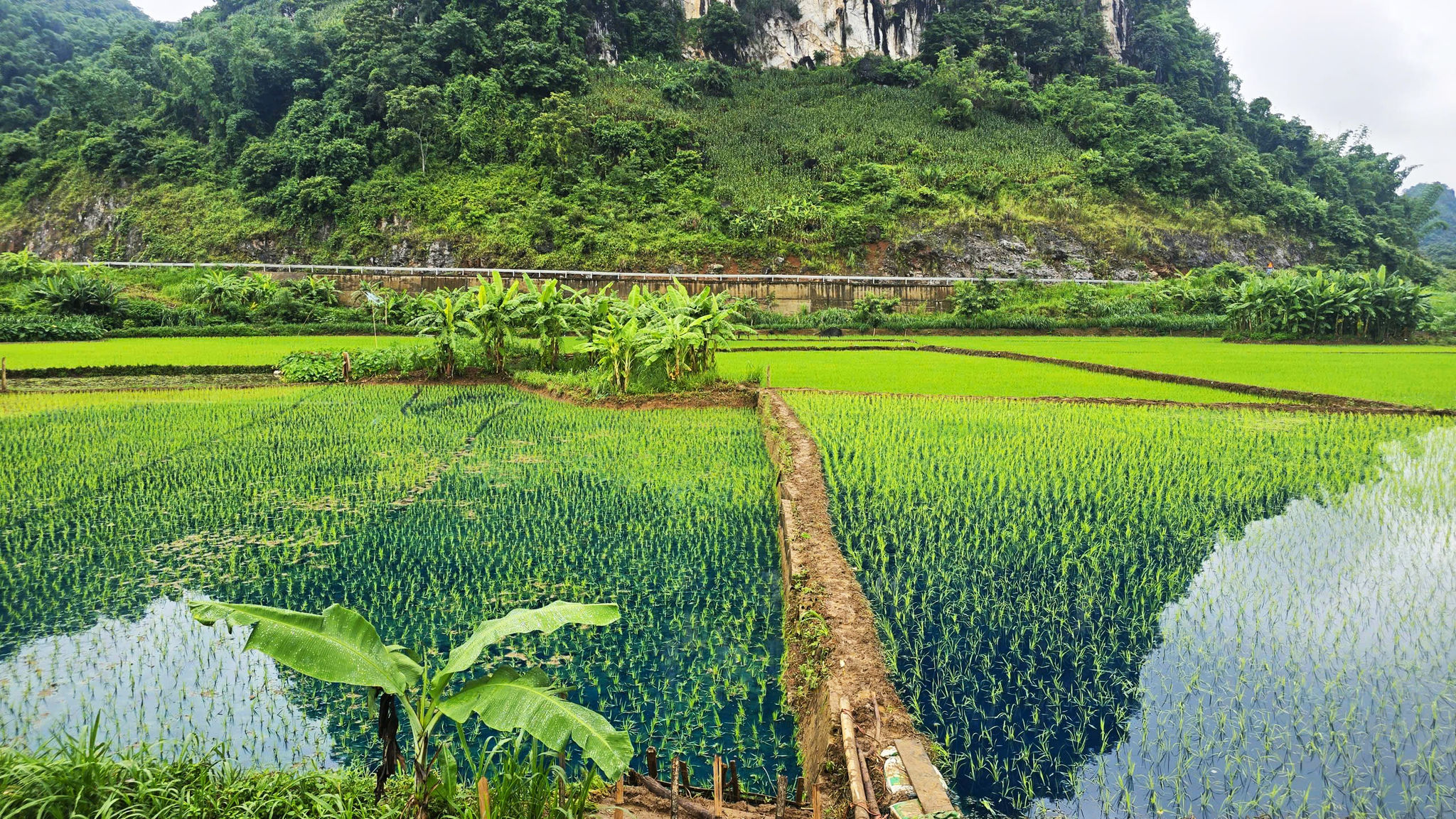 Sơn La ô nhiễm 3