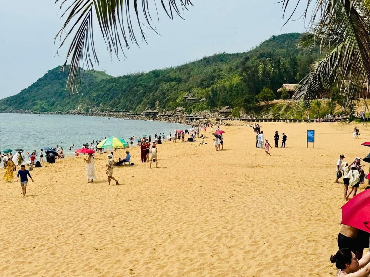 baidong.jpg