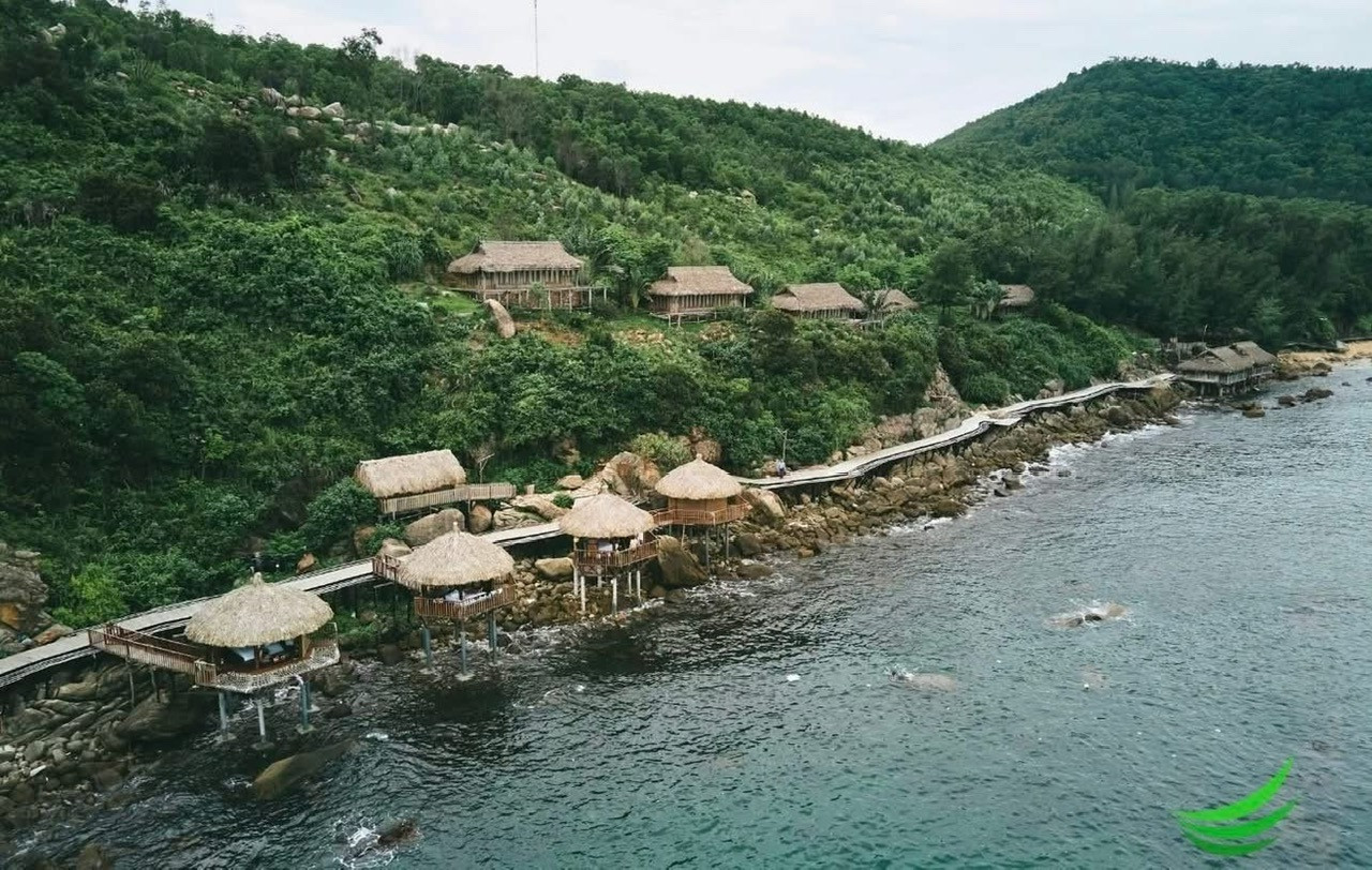 datphong.jpg