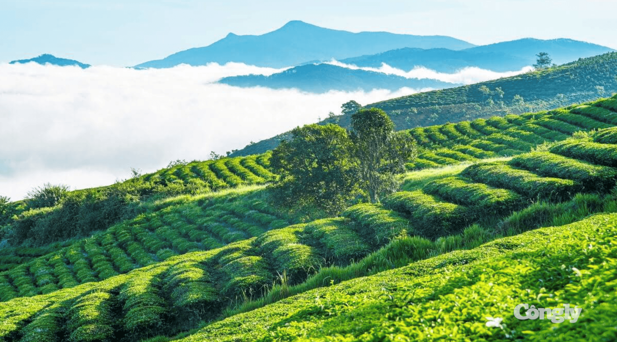 Ảnh màn hình 2026-07-14 lúc 10.46.58 SA