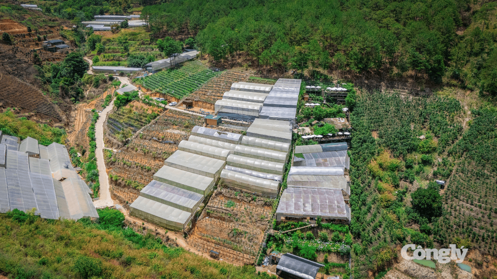 Ảnh màn hình 2026-07-14 lúc 9.33.26 SA