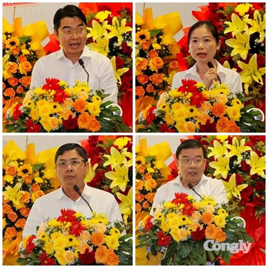 tham luan