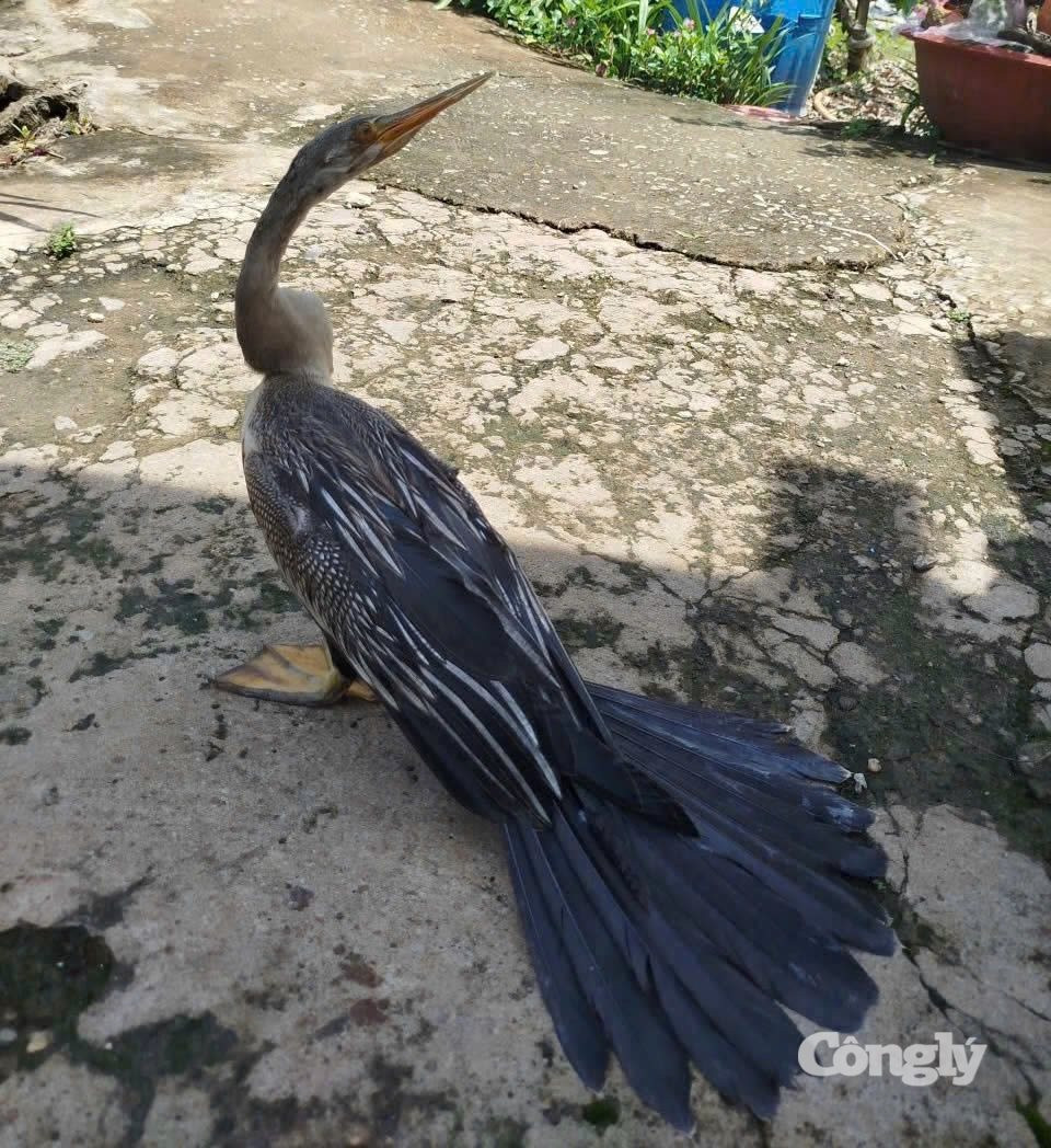 img_5001.jpeg