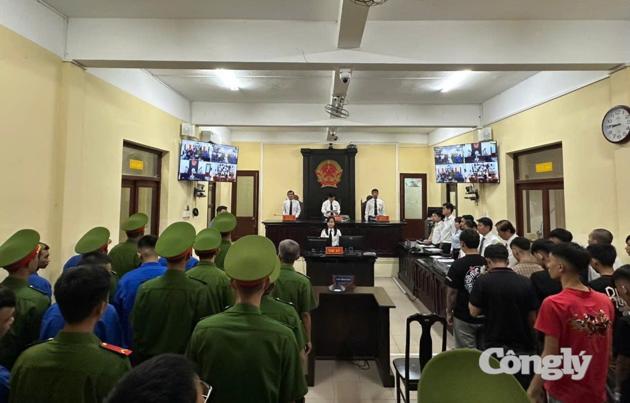 44 bị cáo