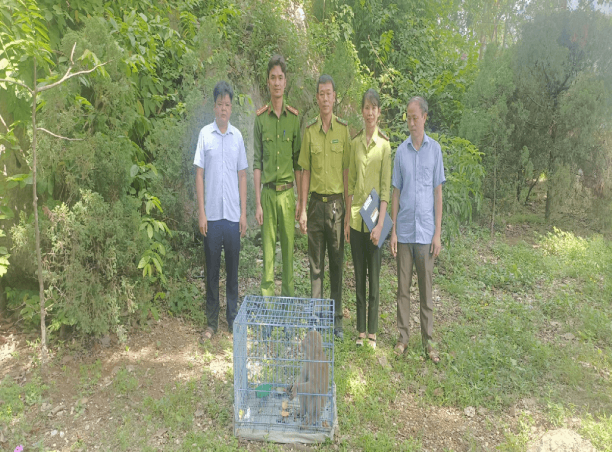 thakhi.png