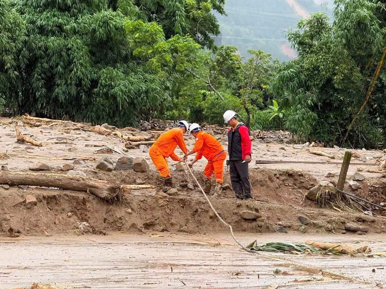 diện 5