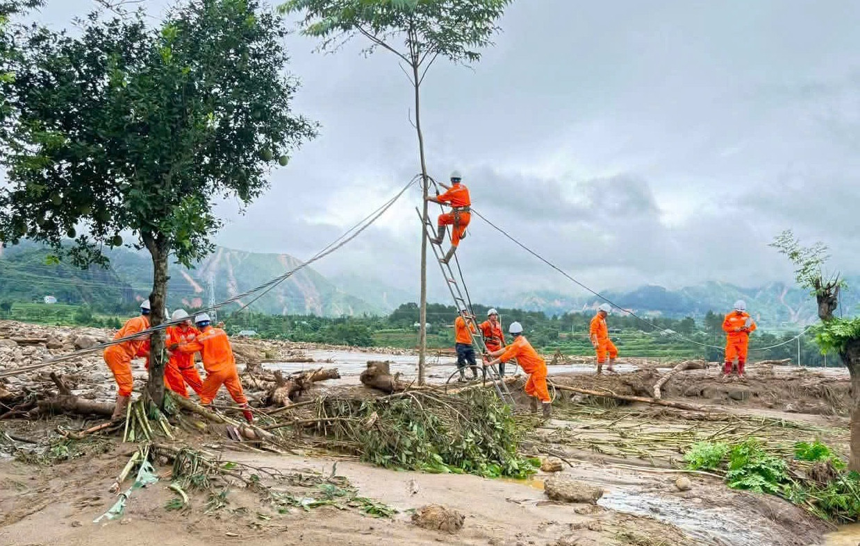 diện 6
