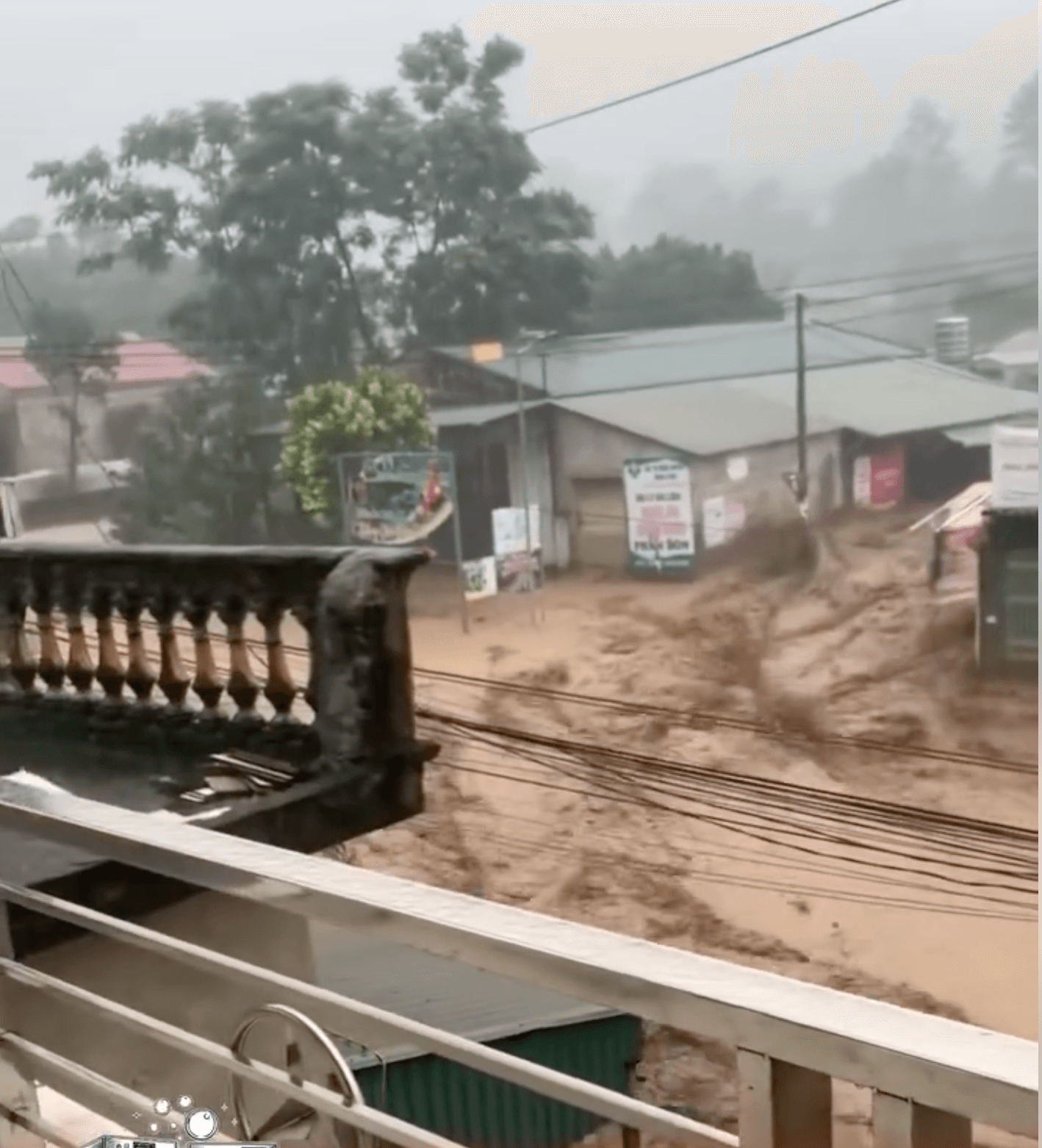 lu nha dân