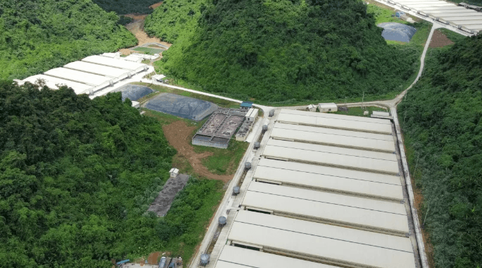 Trang trại chăn nuôi lợn của Công ty TNHH Dabaco tại xã Thạch Quảng. Ảnh: CTV