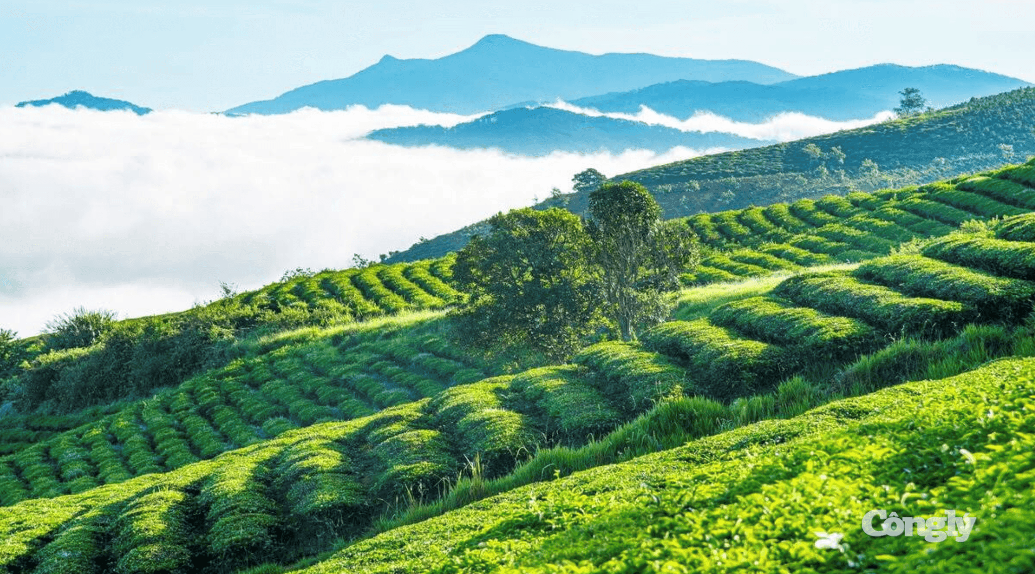 Ảnh màn hình 2026-07-14 lúc 10.46.58 SA