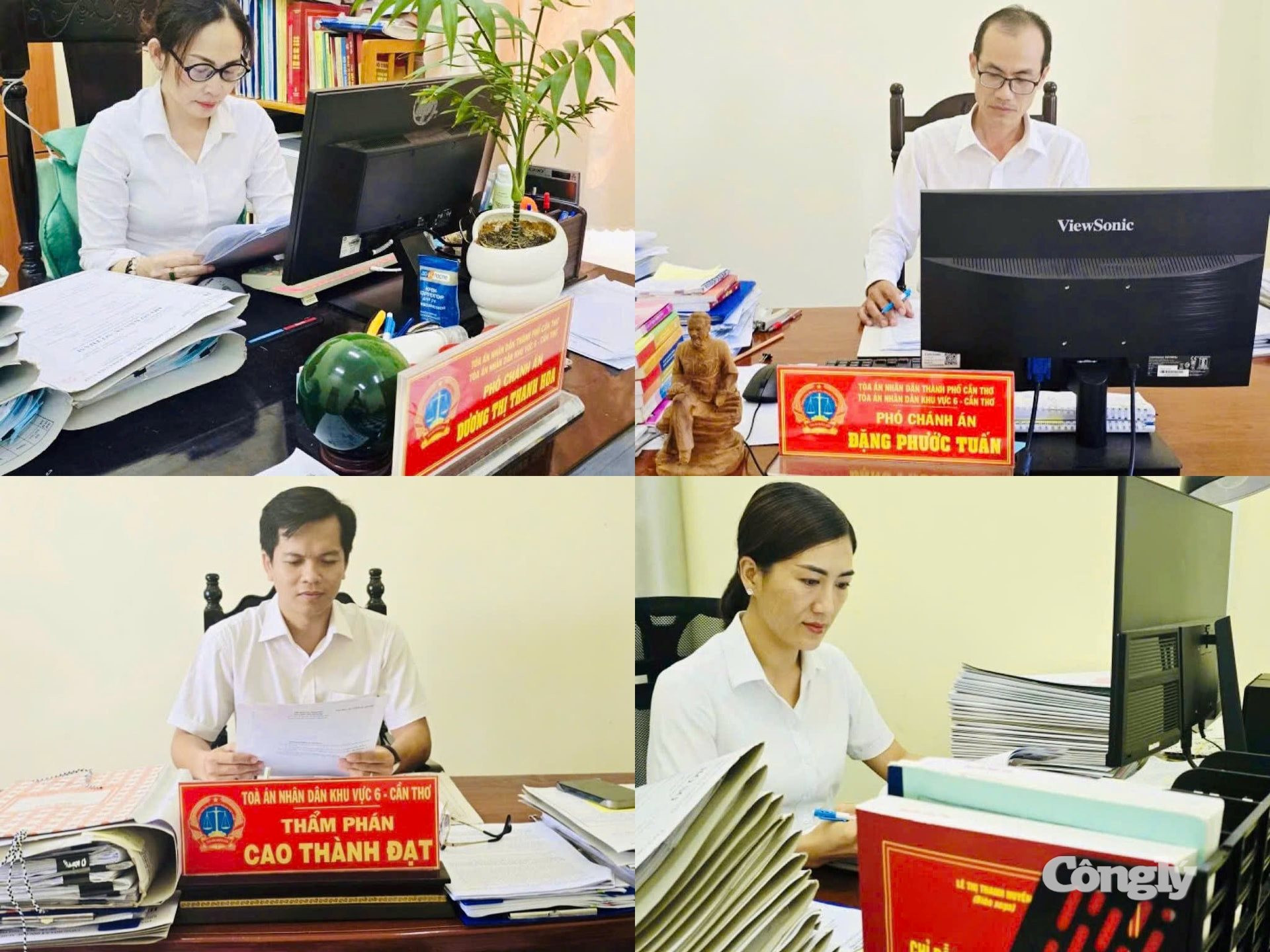 Cán bộ, công chức TAND khu vực 6 - Cần Thơ tập trung nghiên cứu hồ sơ, bảo đảm chất lượng giải quyết, xét xử các vụ việc.