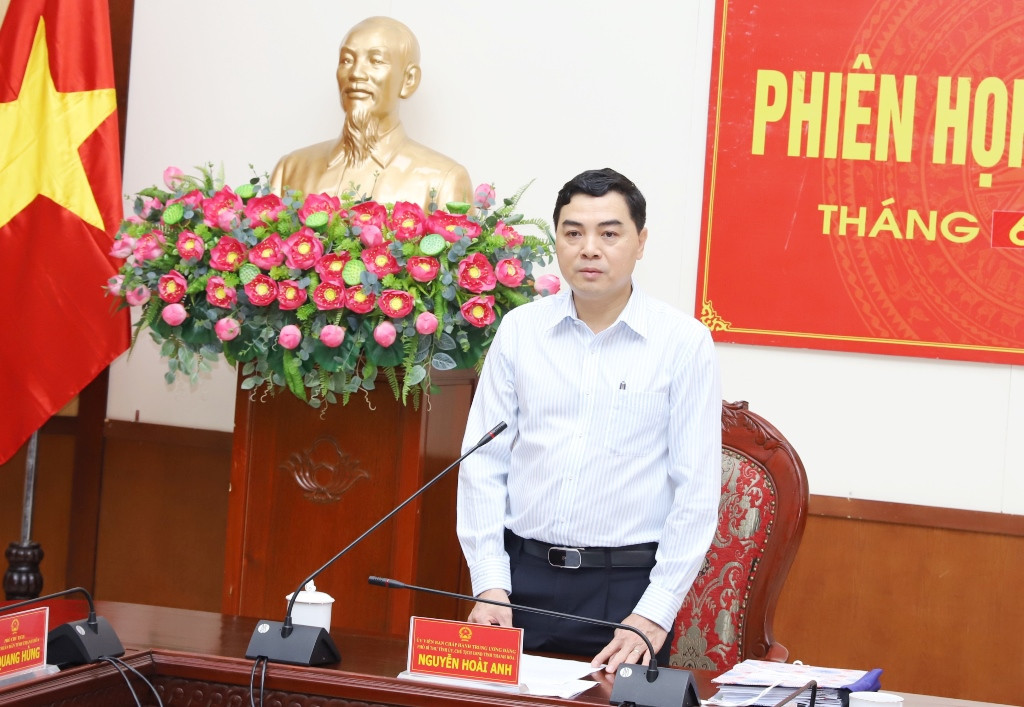 hoaianh.jpg