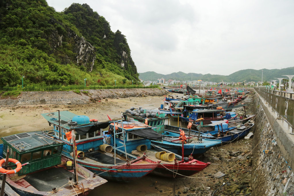 Quảng Ninh 1