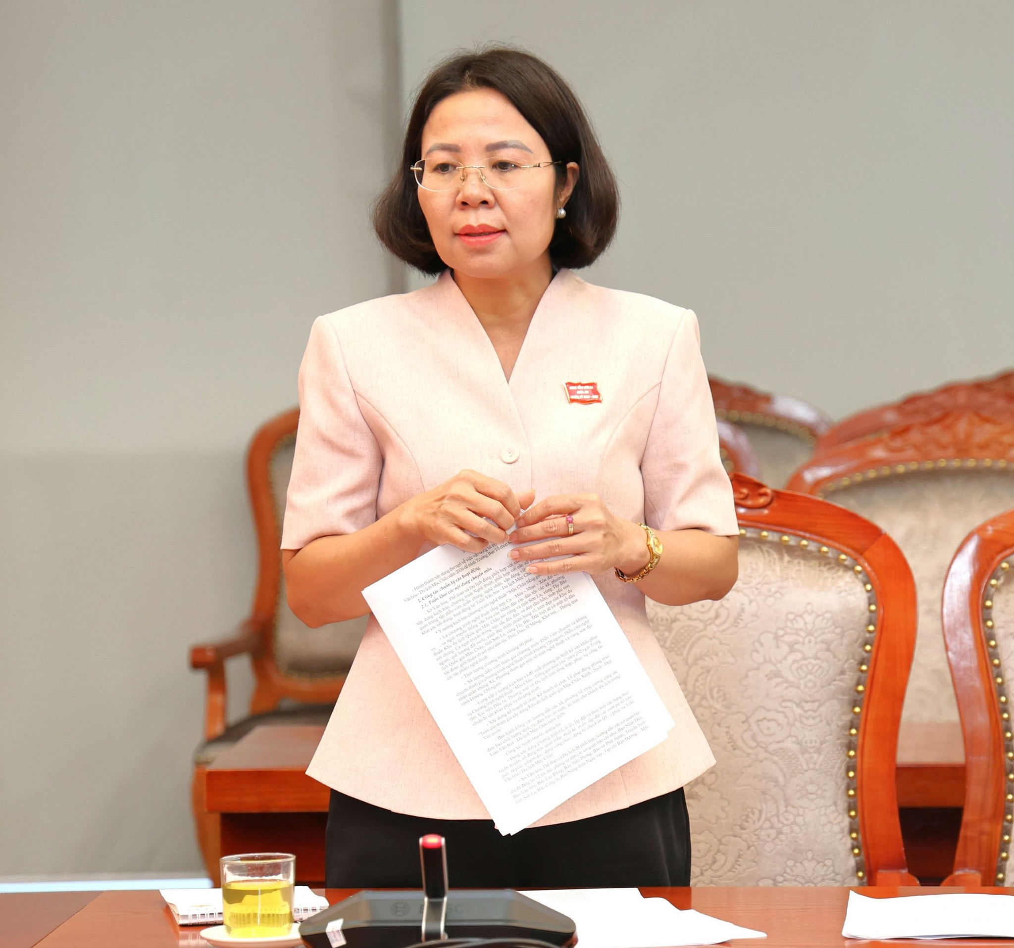 Lãnh đạo Sở Văn hóa, Thể thao và Du lịch phát biểu tại cuộc họp.