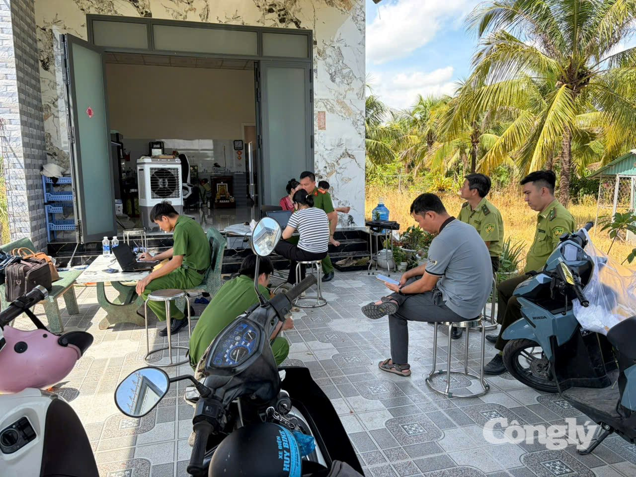 động vật hoang dã