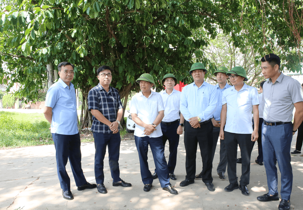 ảnh 3, Bắc Ninh
