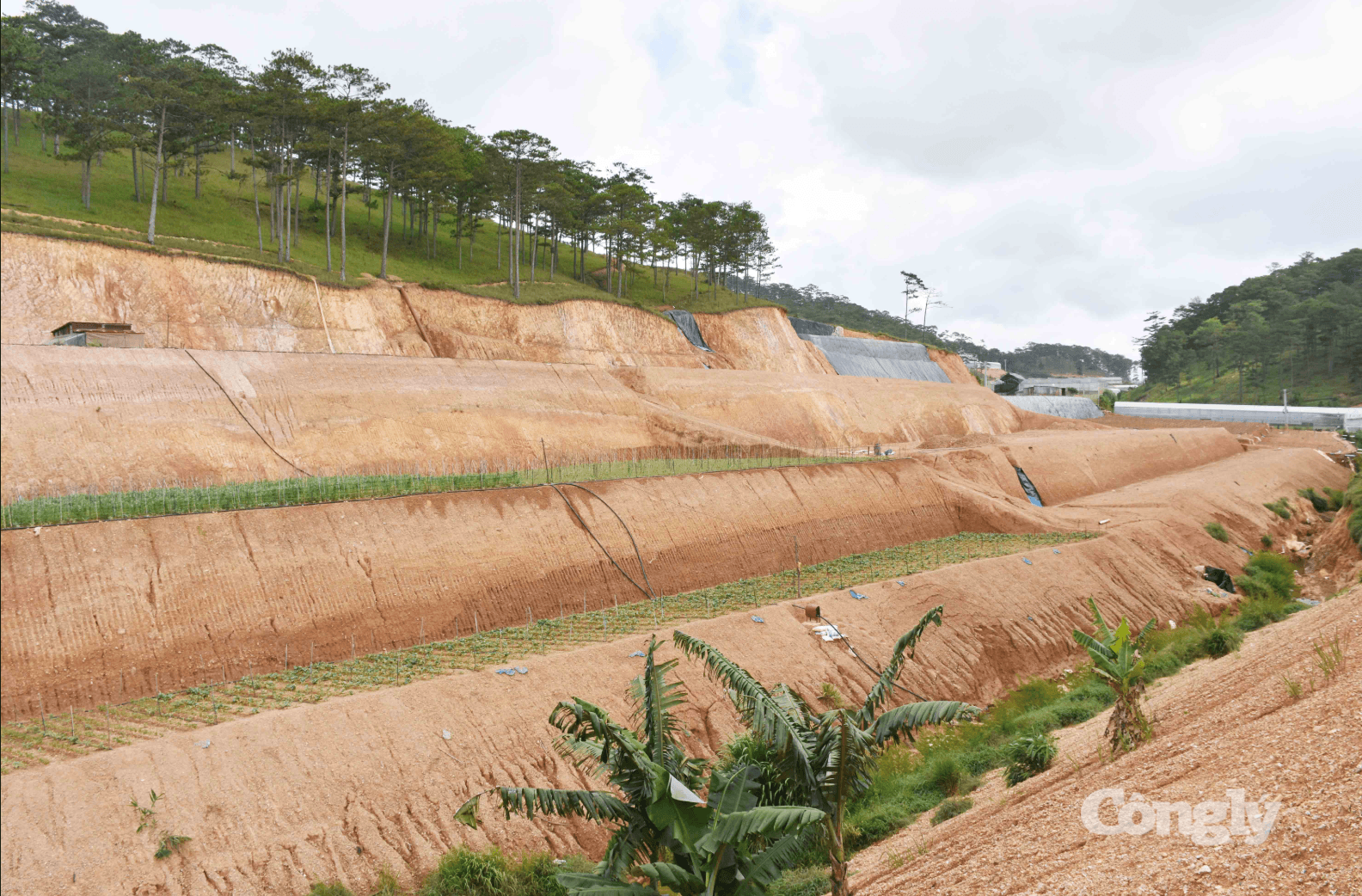 Ảnh màn hình 2026-07-23 lúc 4.34.57 CH
