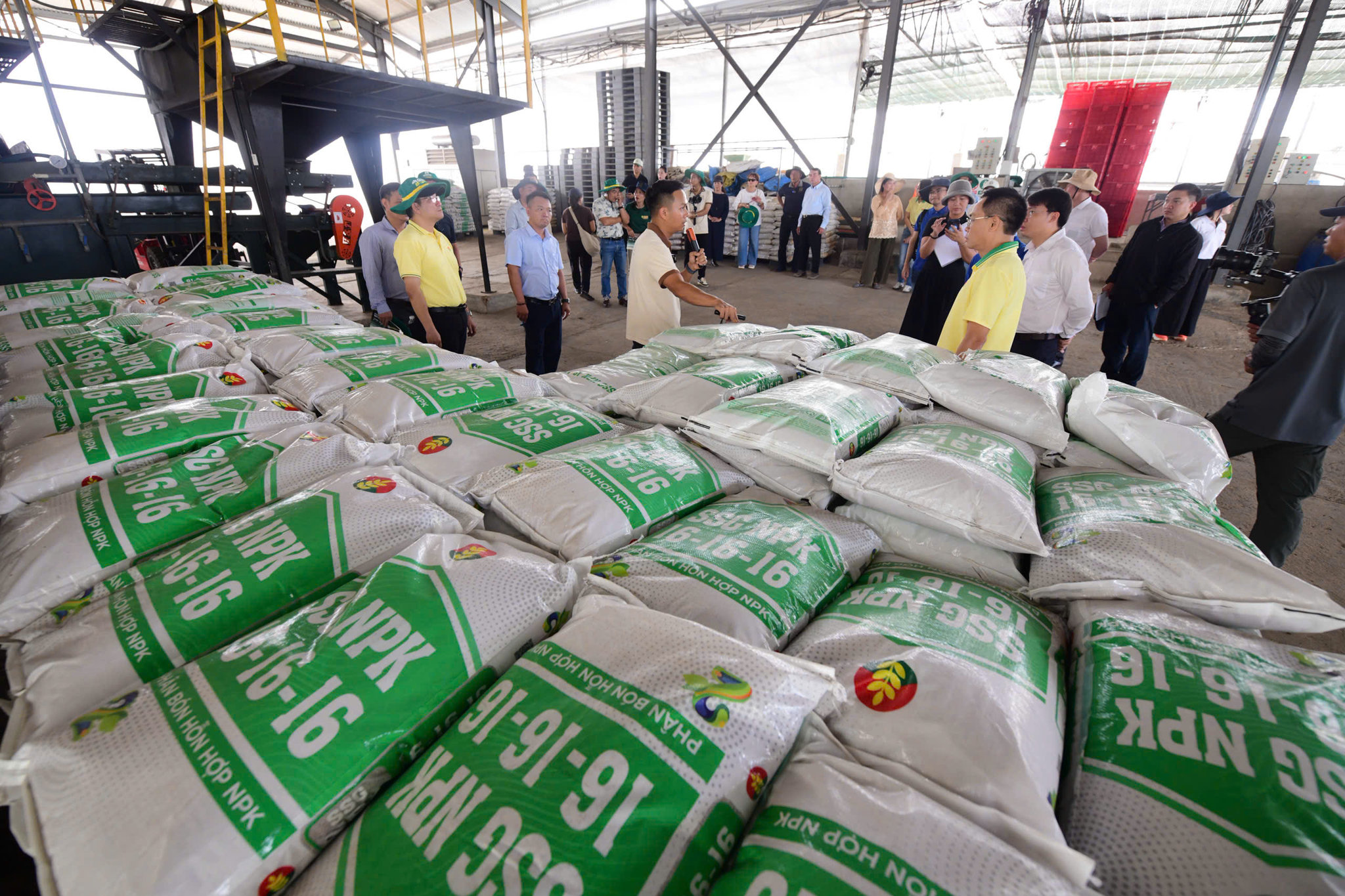 Nông hộ được chia sẻ về quy trình dinh dưỡng và chăm sóc vườn Robusta