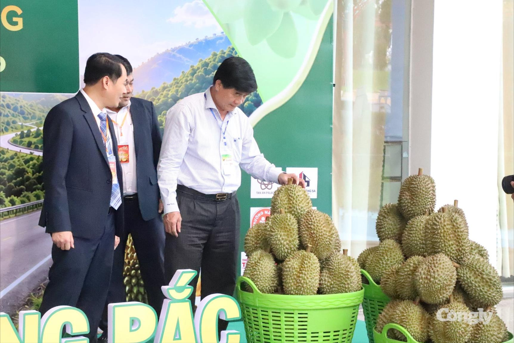 sau-rieng-1(1).jpg