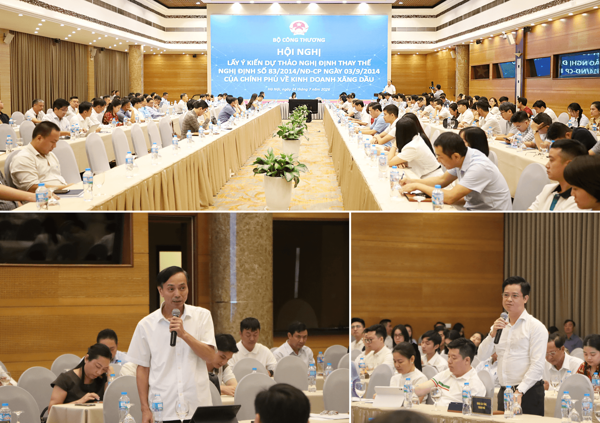 ảnh 8, dự thảo