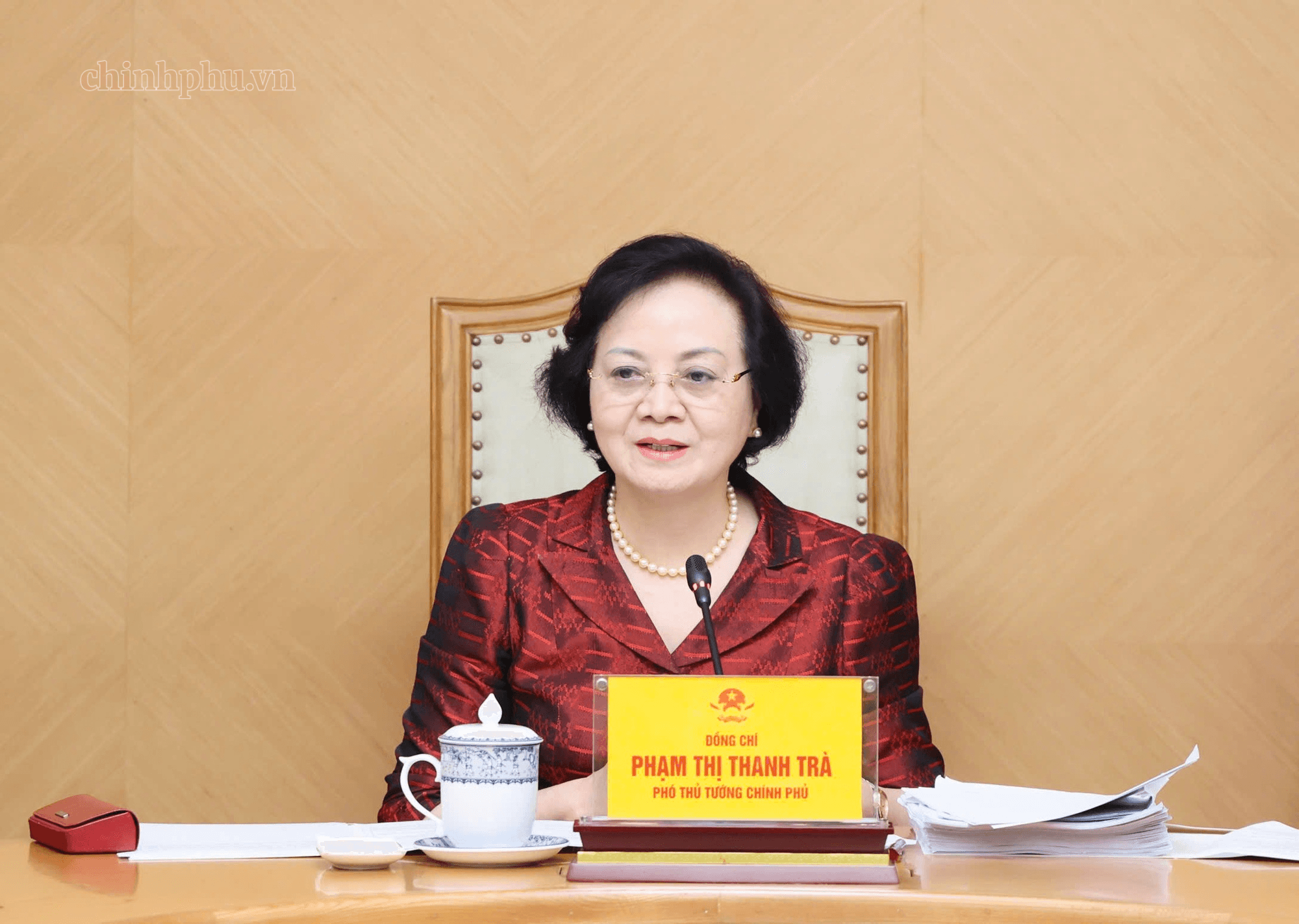 Phó Thủ tướng Phạm Thị Thanh Trà: Thu hút nhân tài không chỉ là đưa vào cơ quan hành chính- Ảnh 1.