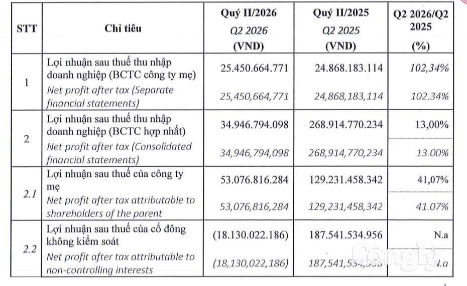 báo cáo tài chính ĐẤT XANH