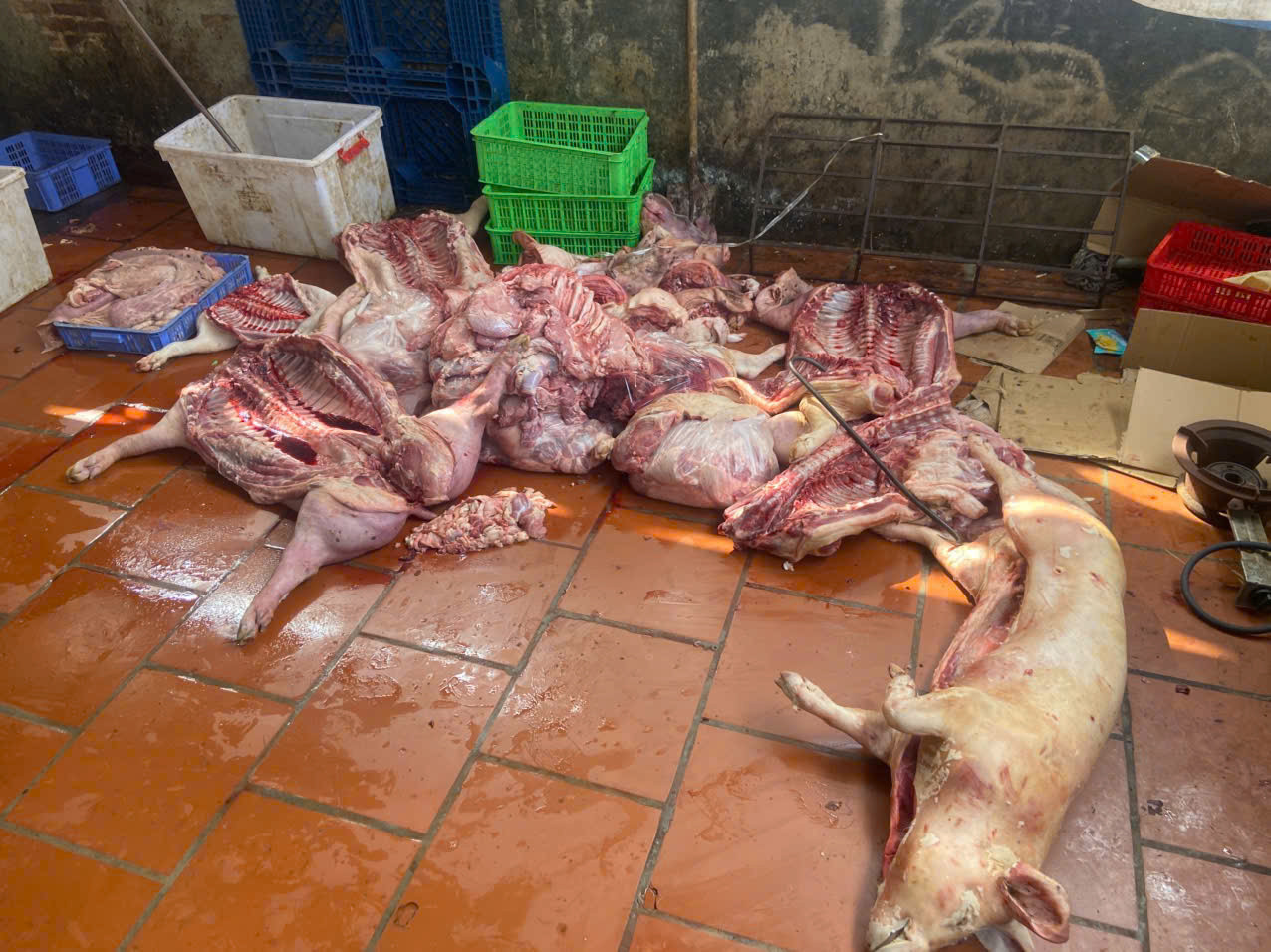 ảnh 2, quản lý thị trường