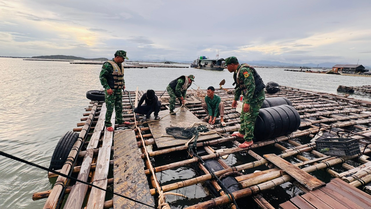 trà cổ