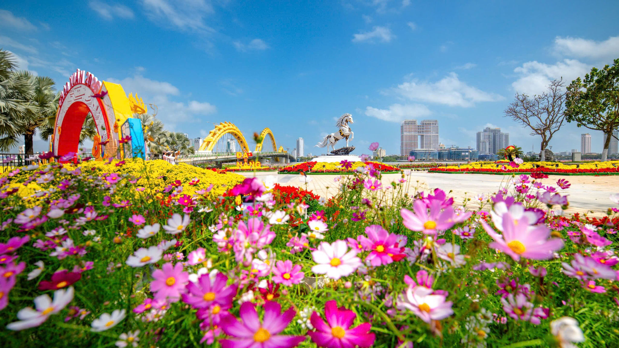 Đà Nẵng triển khai dự án Đà Nẵng trang trí Tết 2027 với 23 điểm hoa xuân và 9 vị trí chiếu sáng nghệ thuật.