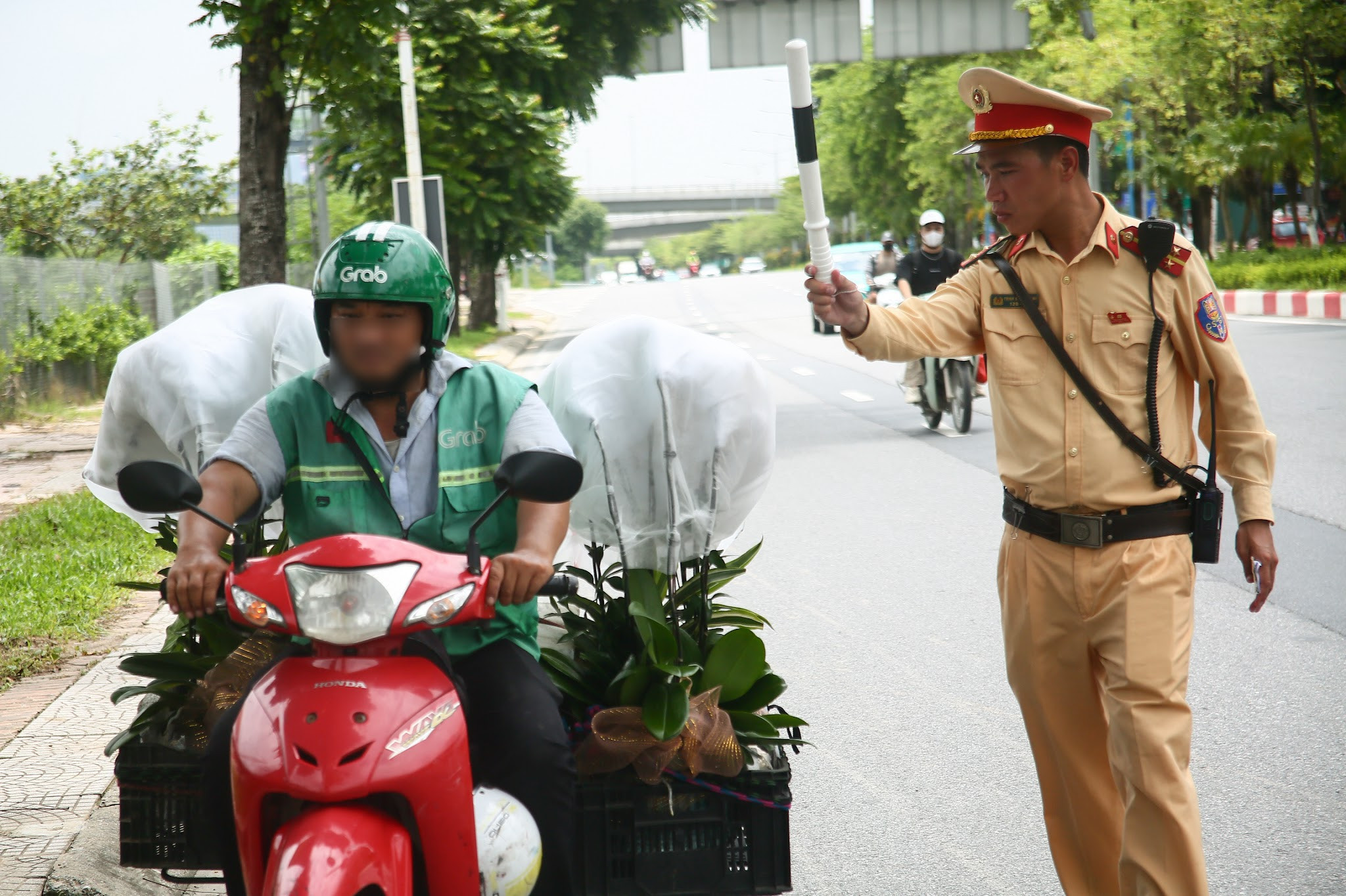 ảnh bài 50.1
