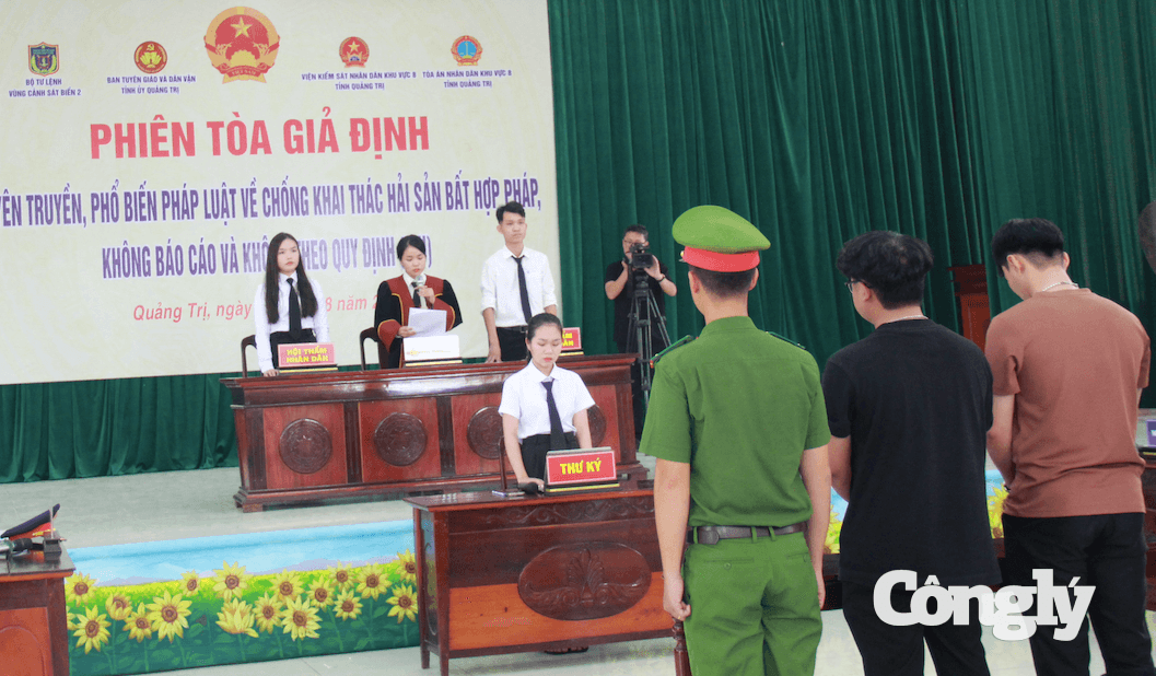 Phiên toà tái hiện quá trình xét xử các bị cáo có hành vi vi phạm trong khai thác thuỷ sản.