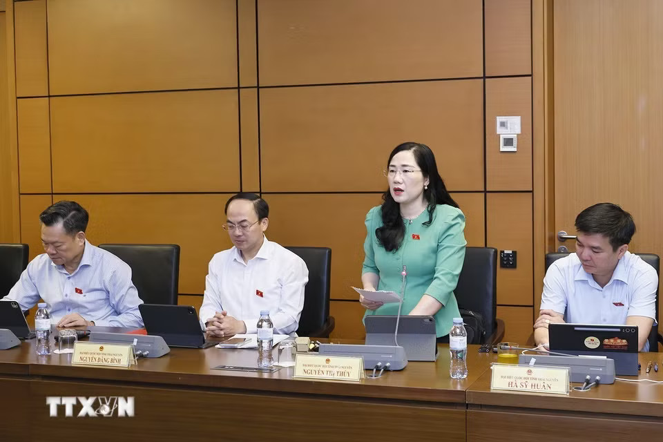 Đại biểu Quốc hội tỉnh Thái Nguyên Nguyễn Thị Thủy phát biểu ý kiến. (Ảnh: Doãn Tấn/TTXVN)