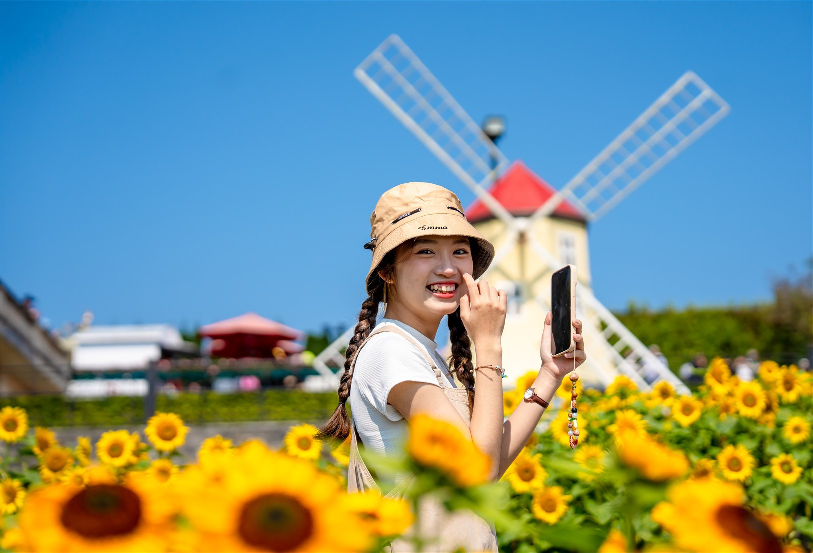Vườn hoa hướng dương_Sun World Ba Na Hills