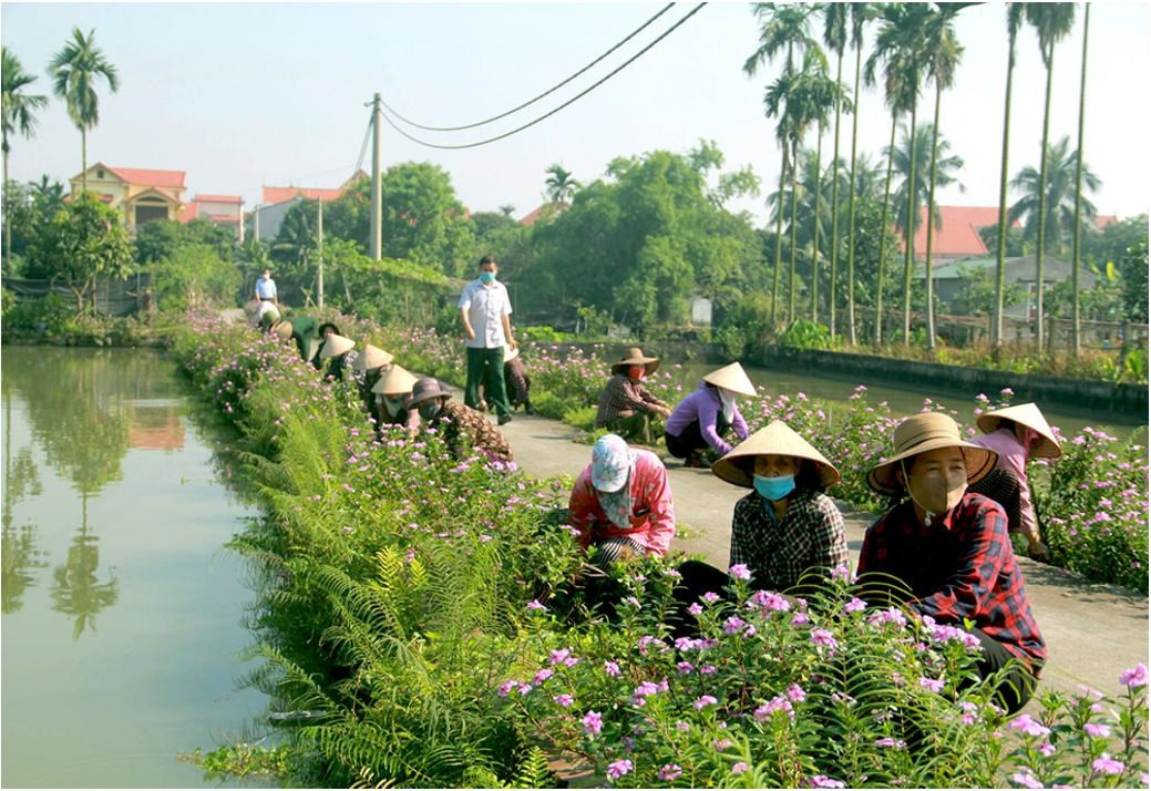 nông thôn mới