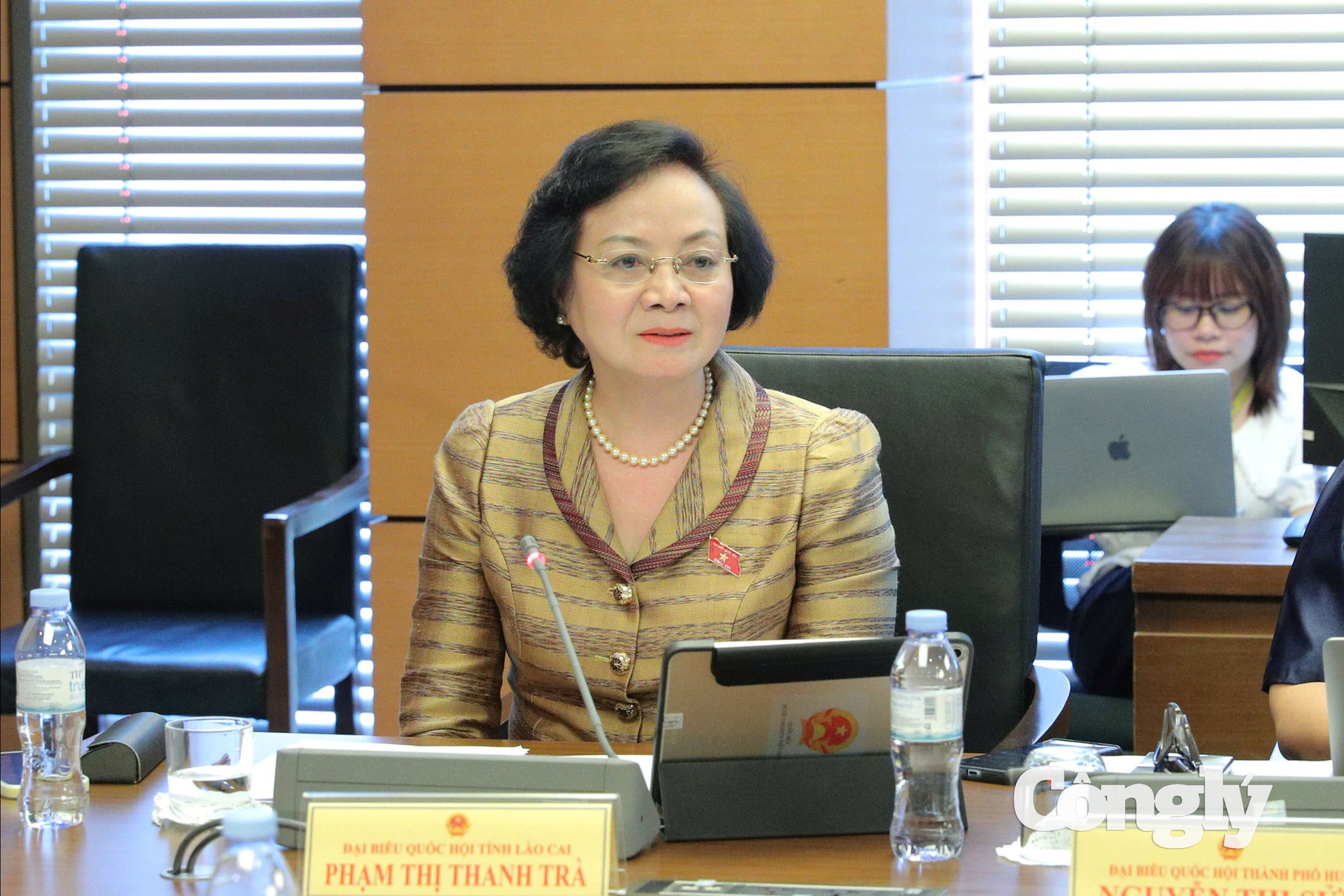 pho-thu-tuong-pham-thi-thanh-tra_watermarked.jpg