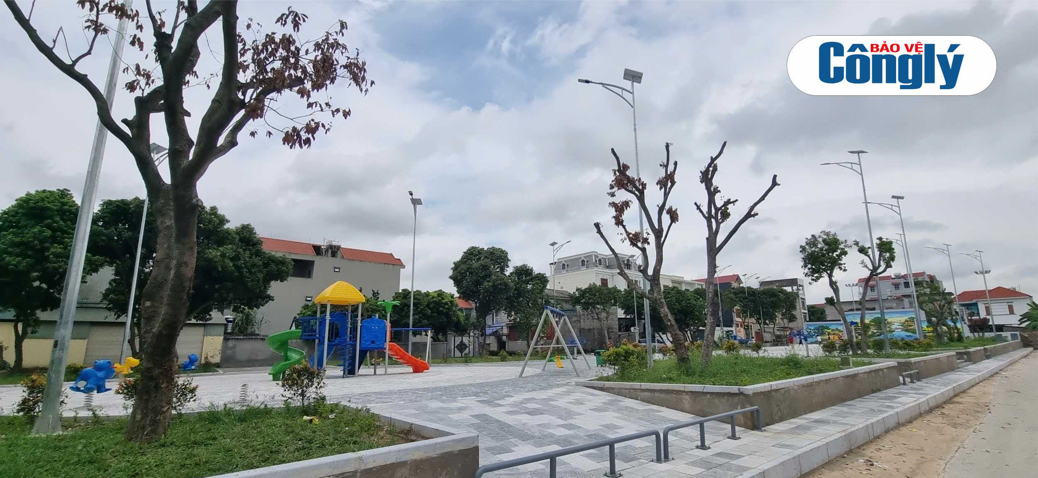 Ảnh tổng thể