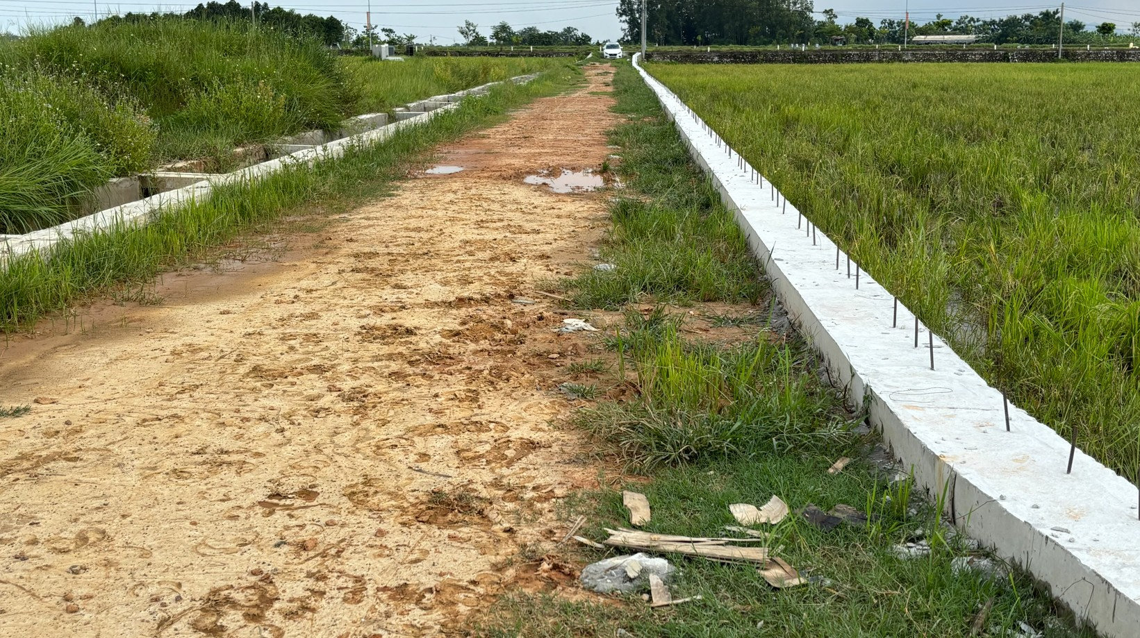 xa vat lai