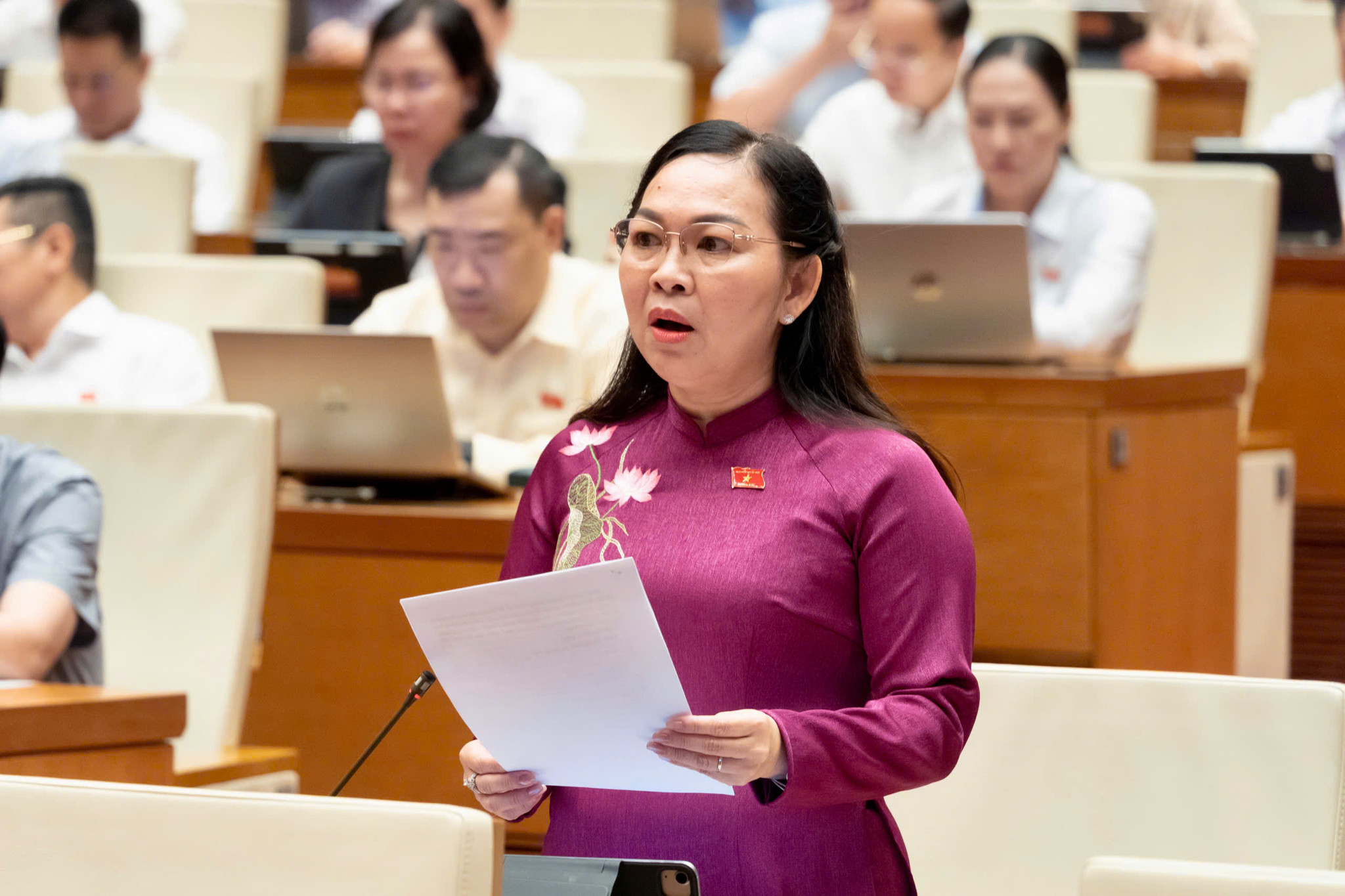dai-bieu-ly-anh-thu.jpg