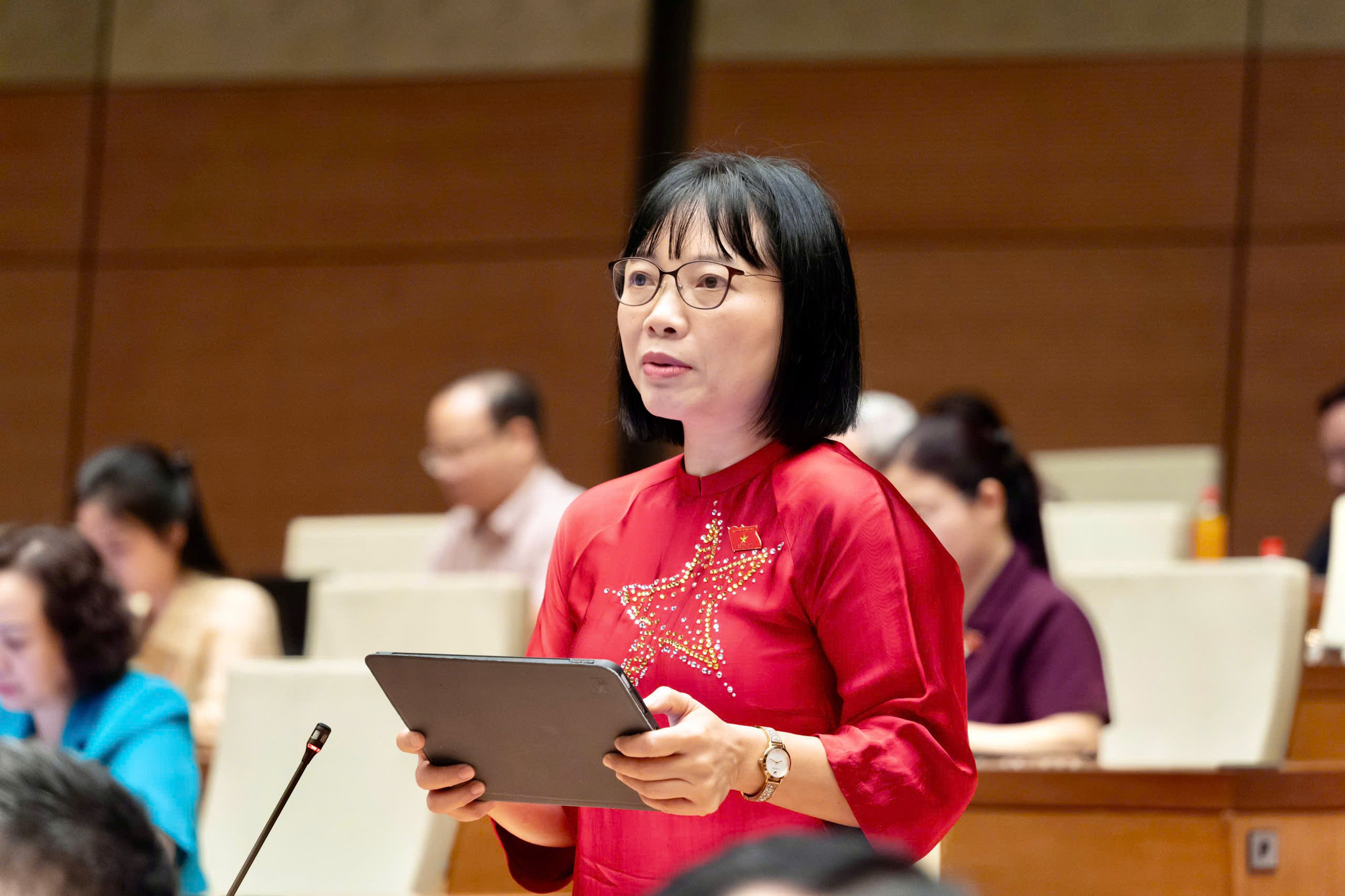 dai-bieu-nguyen-thi-viet-nga.jpg