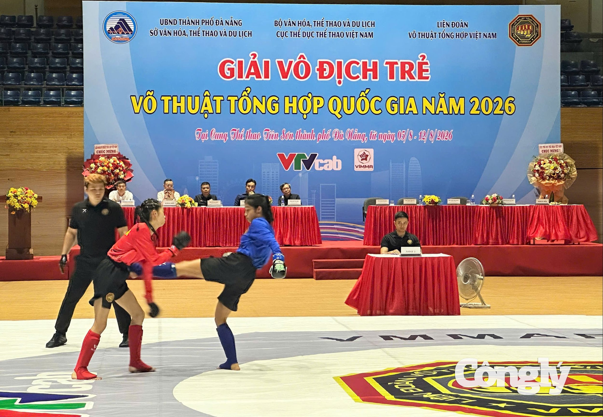 Giải MMA 3