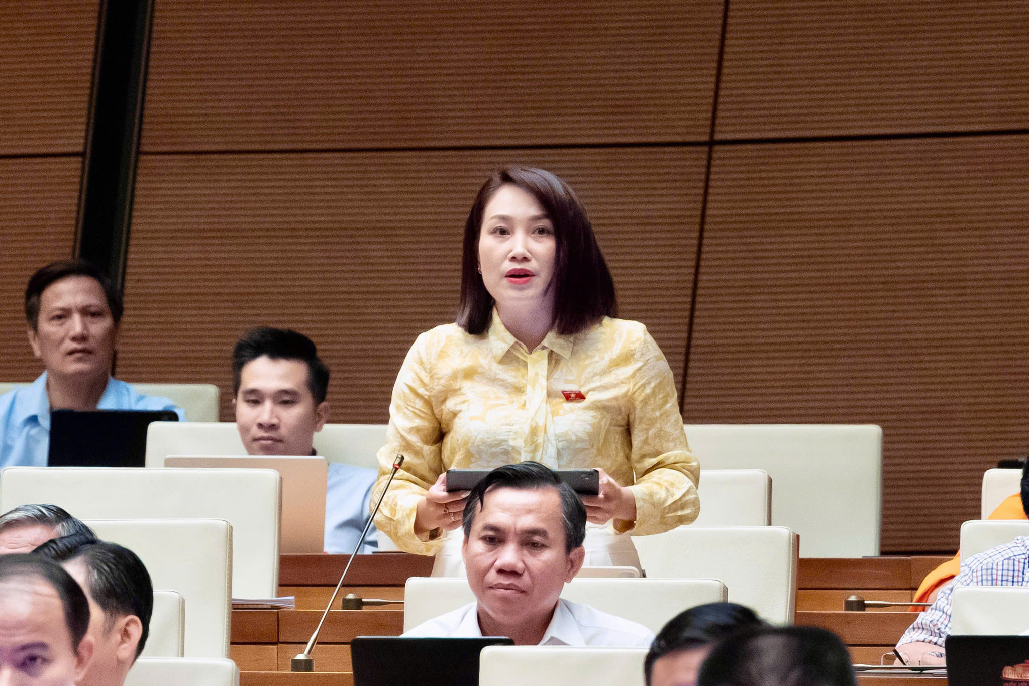 dai-bieu-ca-thi-tham.jpg