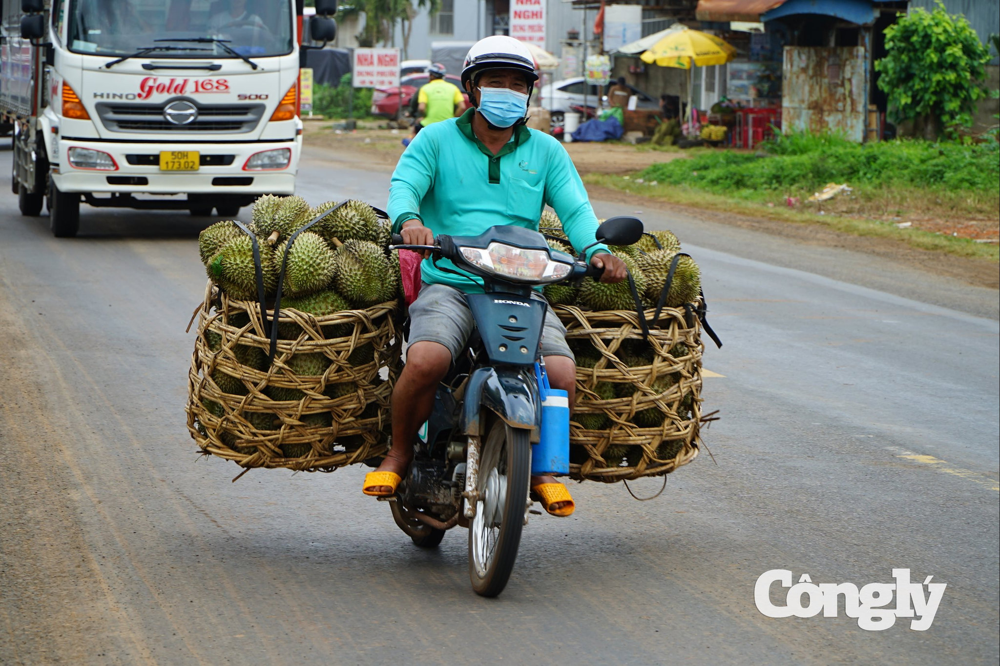 Sầu riêng.jpg