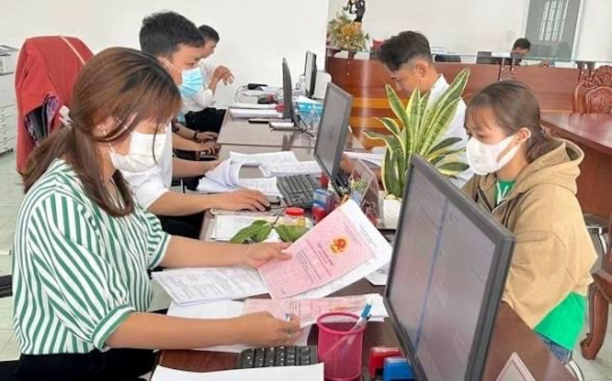 sohong.jpg