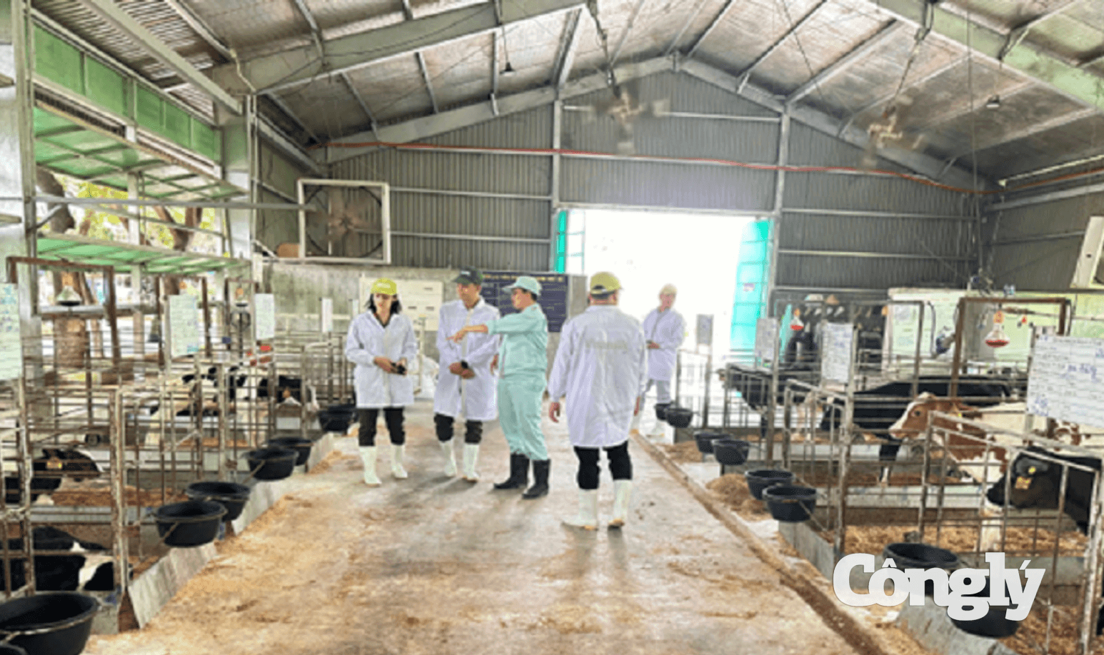 Ảnh màn hình 2026-08-10 lúc 3.33.17 CH