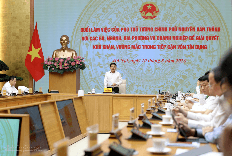 anh toàn cảnh