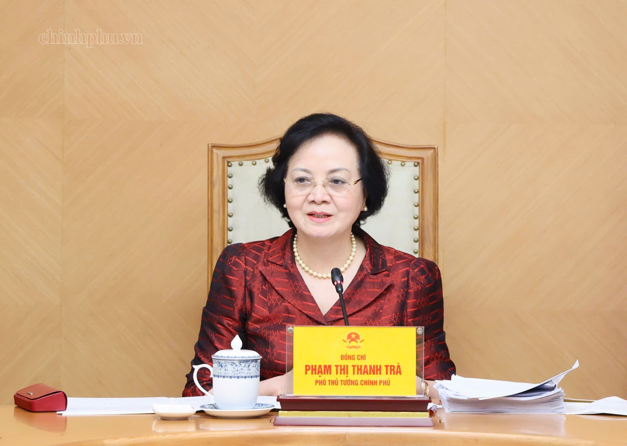 pho-thu-tuong-pham-thi-thanh-tra-02.jpg