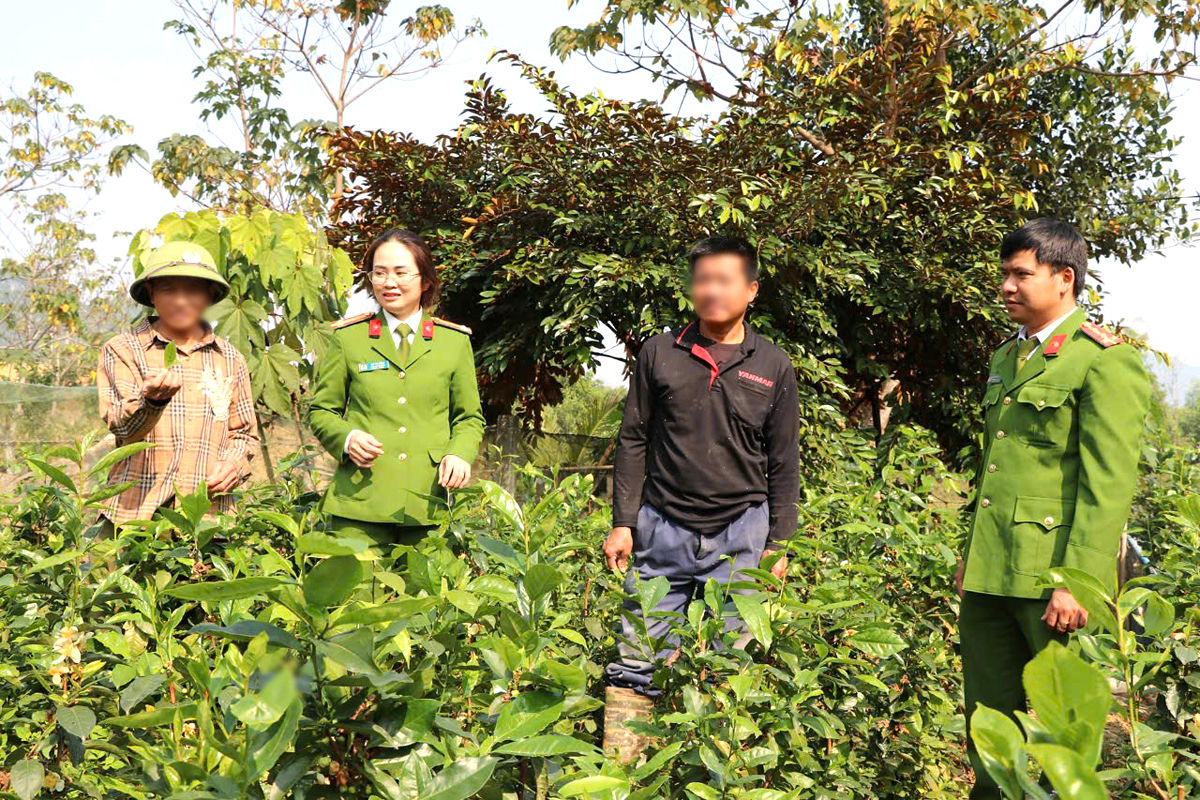 lam lai cuoc doi