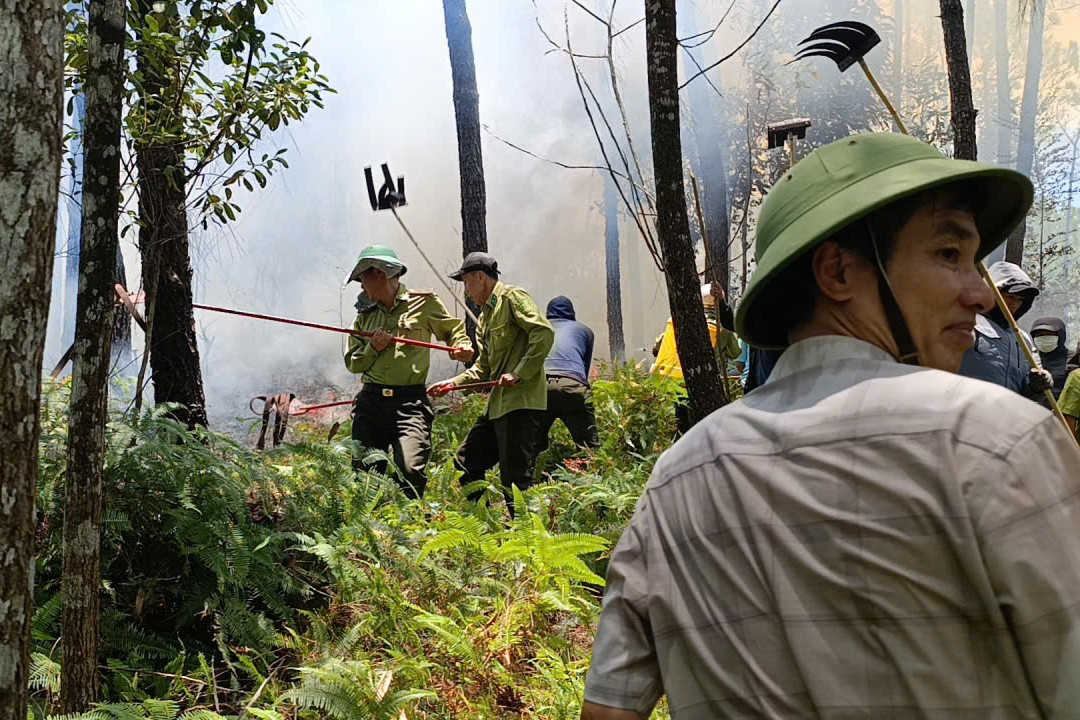 cháy rừng ngày 148 (1)