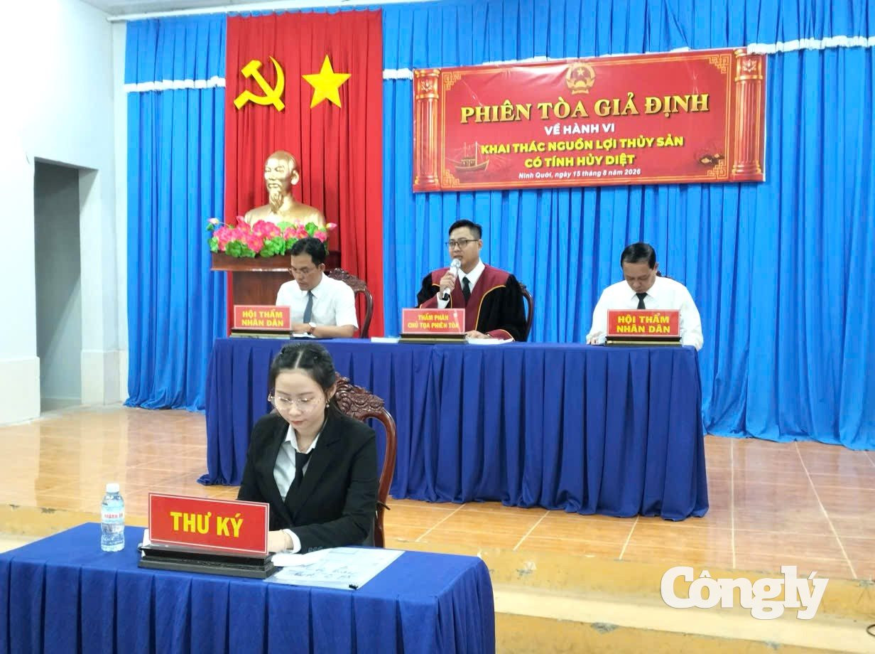 HĐXX tại phiên tòa