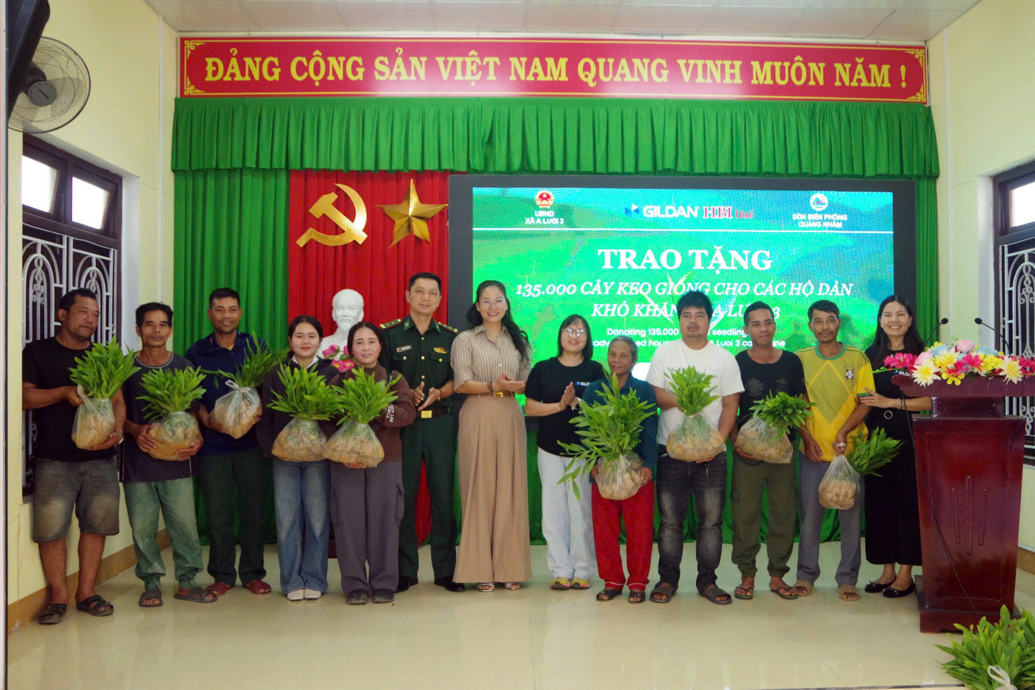 cây keo giống (1)